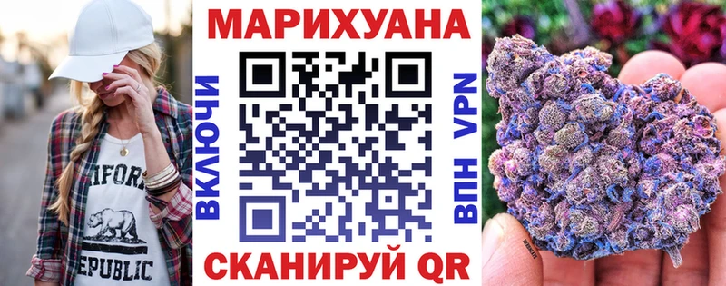 kraken онион  Дальнегорск  Каннабис индика 
